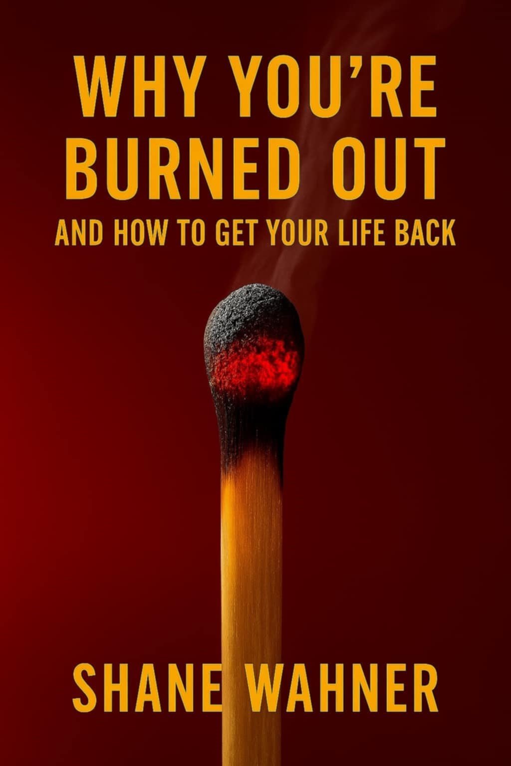 Why You're Burned Out Book